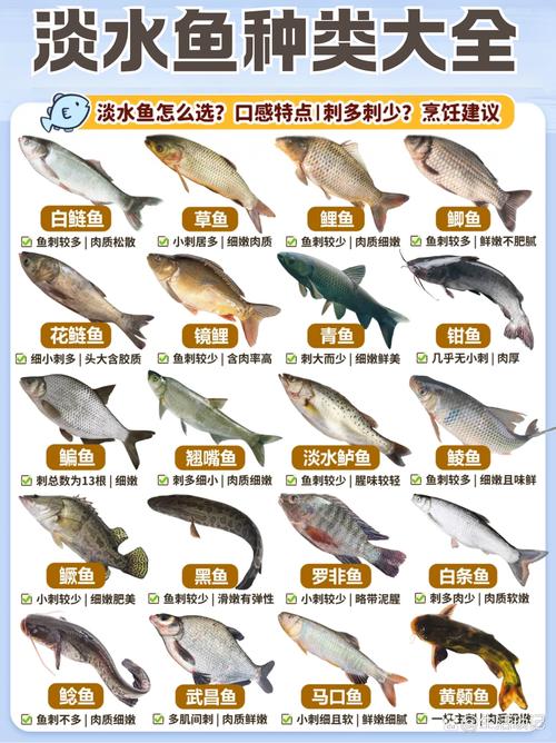 鲫鱼品种有哪些？看图识种全在这！-图1