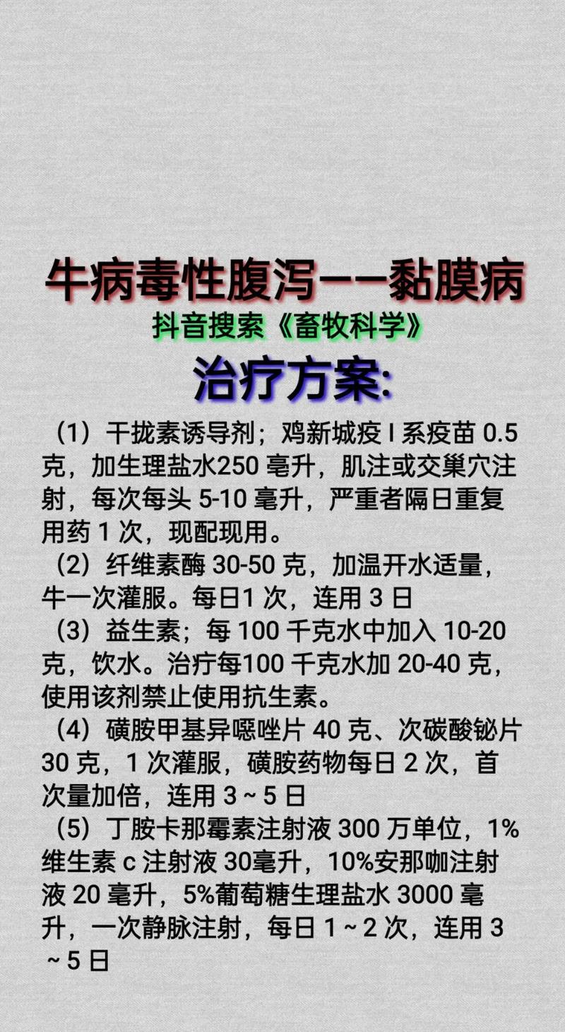 牛养殖技术与疾病防疫关键点有哪些？-图3