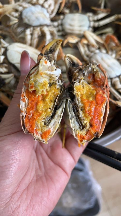 盘锦河蟹批发价格多少-图2 盘锦河蟹批发价格多少-图2