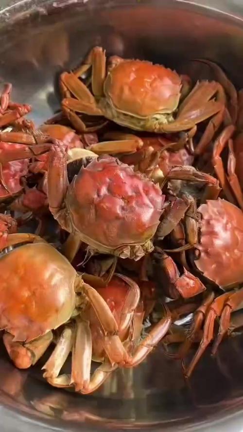 盘锦河蟹批发价格多少-图3 盘锦河蟹批发价格多少-图3