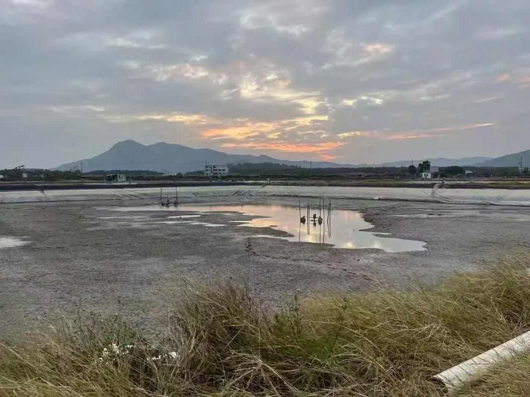 龙虾养殖技术资料大全,关键点有哪些?-图1 龙虾养殖技术资料大全,关键点有哪些?-图1