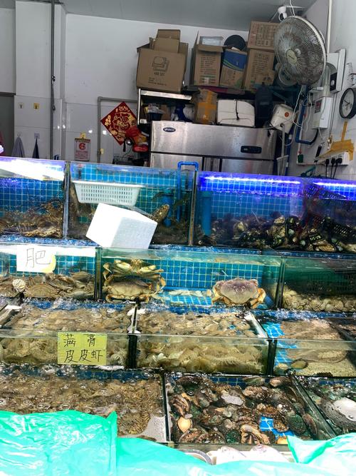广州黄沙海鲜市场最新价多少？-图2