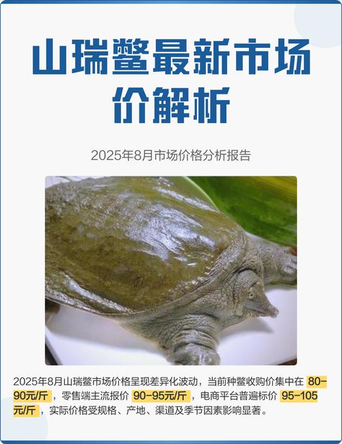2025年甲鱼价格会涨还是跌？-图1