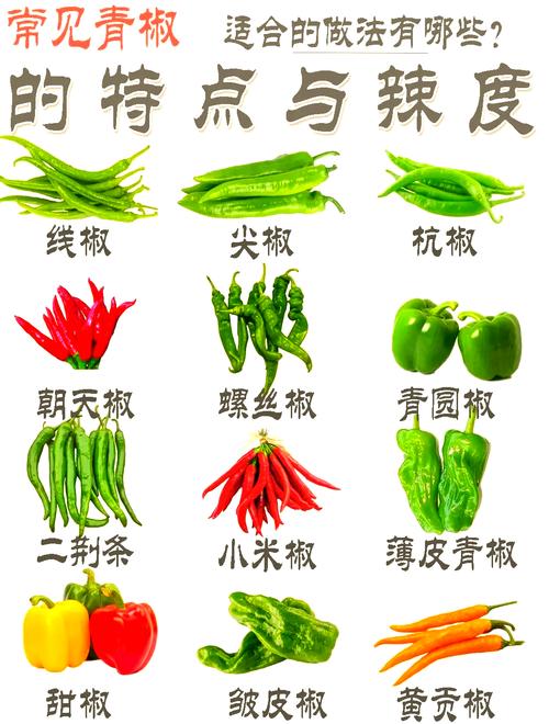 辣椒品种名称与图片如何快速对应？-图1