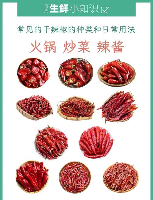 辣椒品种名称与图片如何快速对应？-图3