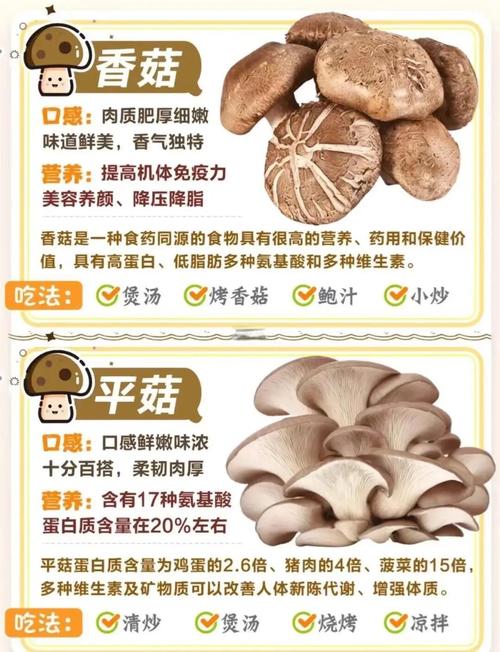 蘑菇品种多，如何辨识看图名？-图2