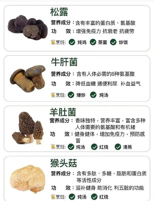 蘑菇品种多，如何辨识看图名？-图3