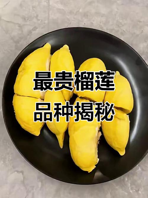 最贵的榴莲品种是哪个？-图1