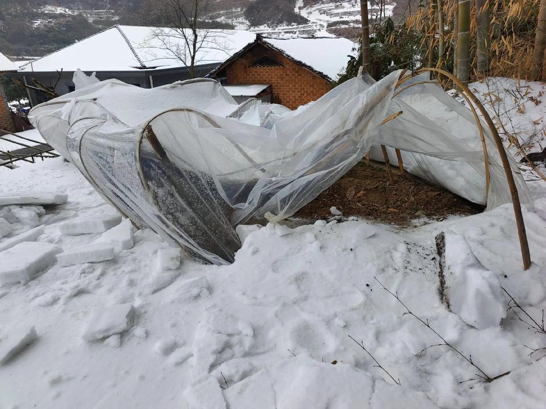 雪中布棚价格多少?-图1 雪中布棚价格多少?-图1