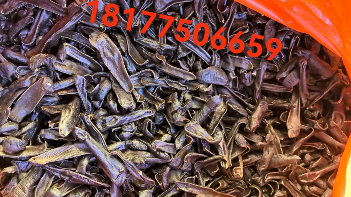 水蛭价格近期走势如何？-图1