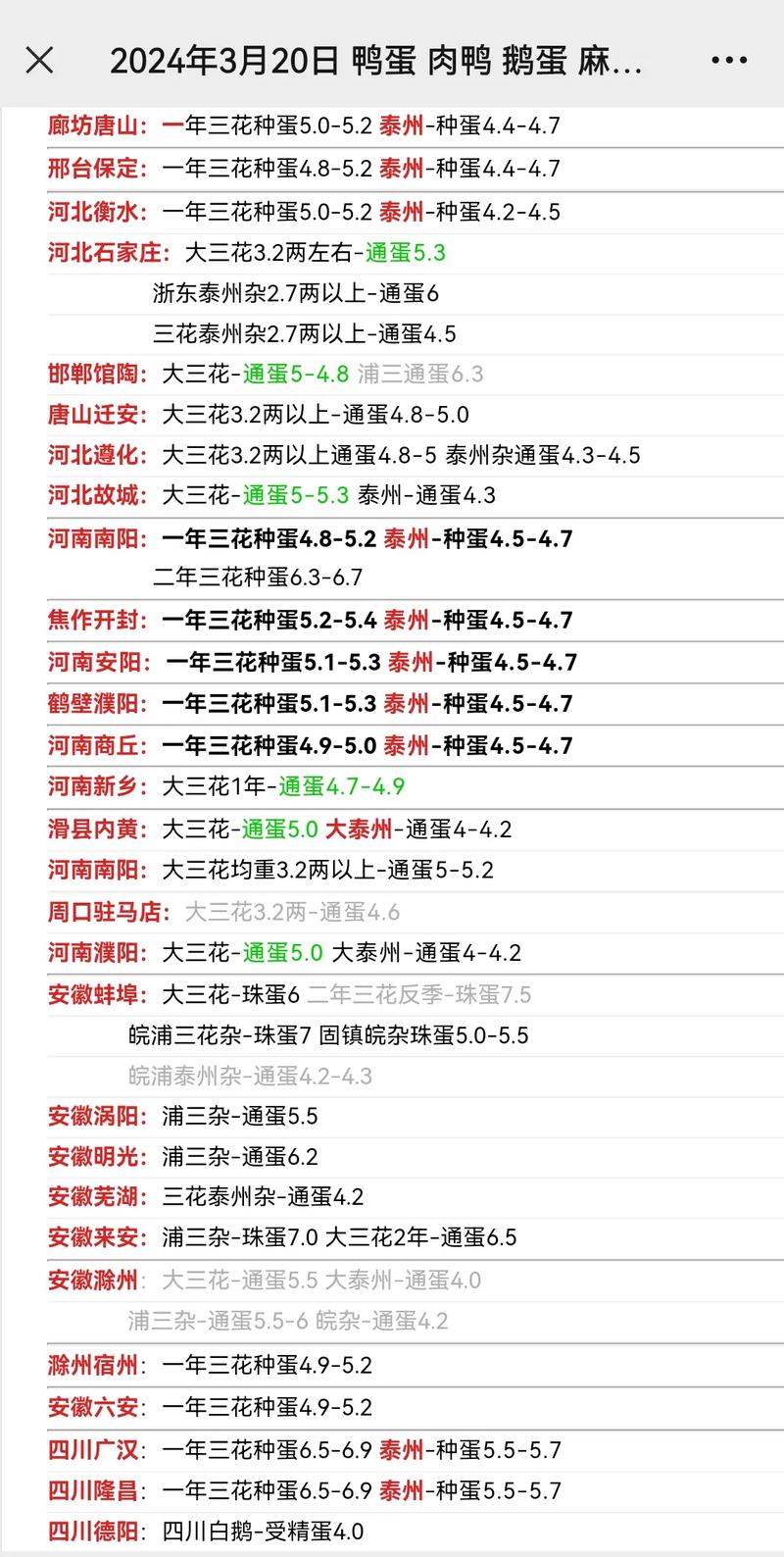 广东鹅现在多少钱一斤？-图2