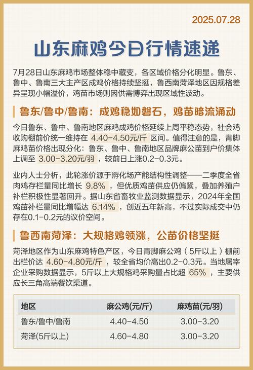山东鸡苗价格最新行情如何？-图2
