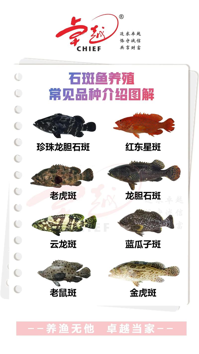 特种养殖品种有哪些？-图2