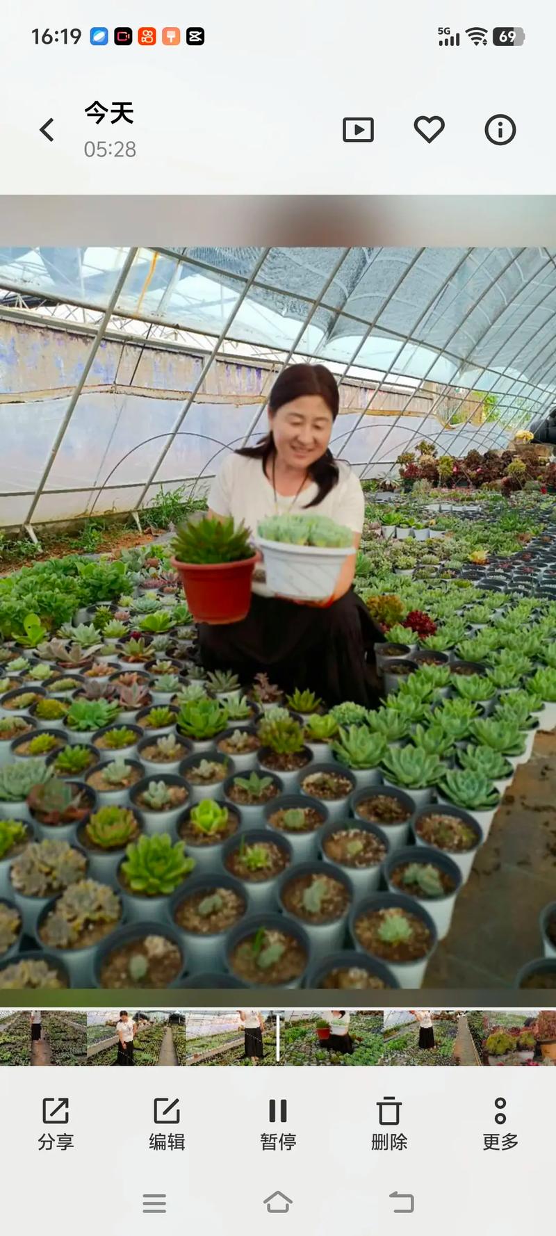 大棚多肉种植技术加盟-图3