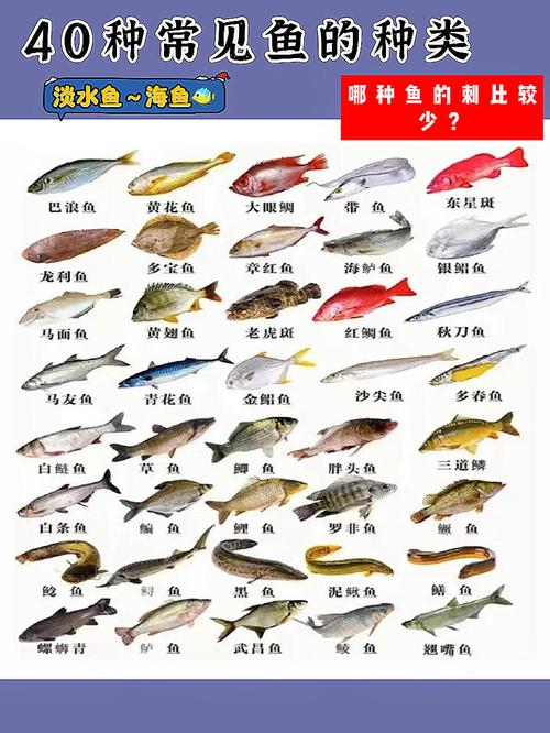 哪些鱼类是主要经济水产品？-图2