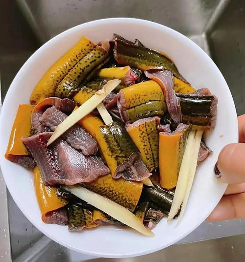 黄鳝养殖开口密方技术如何高效应用？-图3