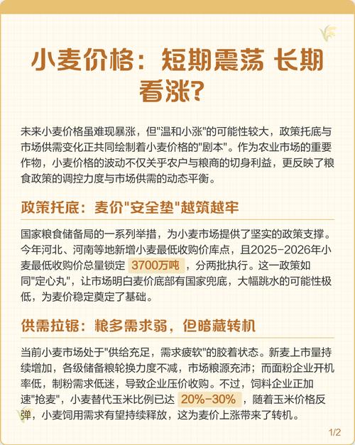 小麦价格后续走势如何？-图1