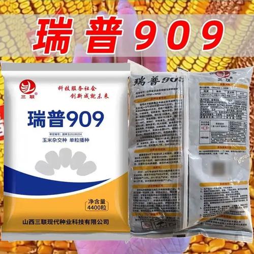 瑞普909玉米种价格-图2