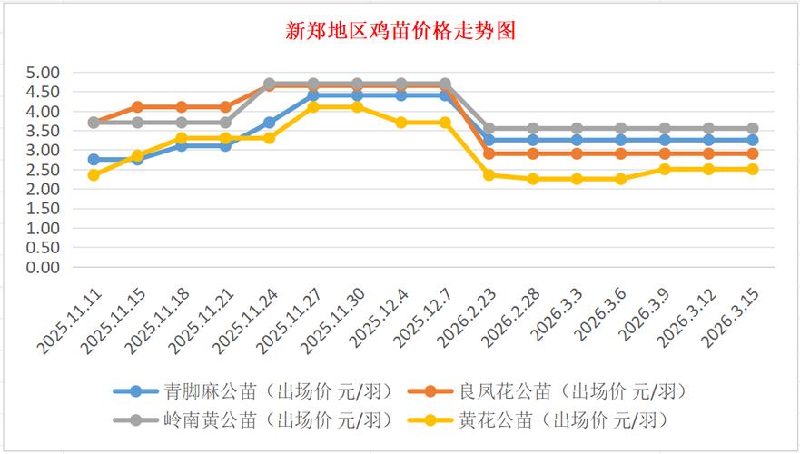 今日河南鸡苗价格多少钱？-图1
