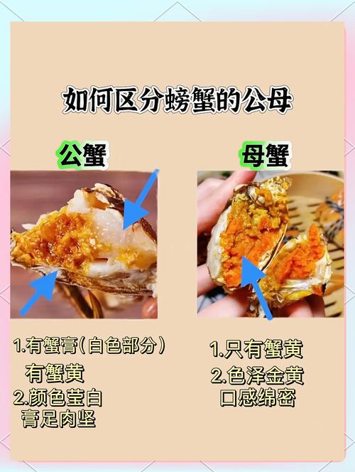 螃蟹公母分开养殖技术如何高效实施？-图1