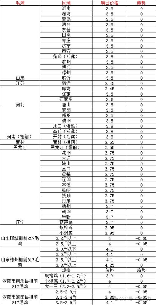 山东今日毛鸡价格行情如何？-图1