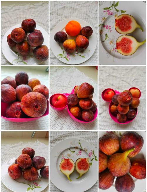 最耐放的无花果品种-图1