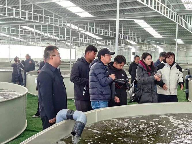 最新北方淡水养殖技术-图2 最新北方淡水养殖技术-图2