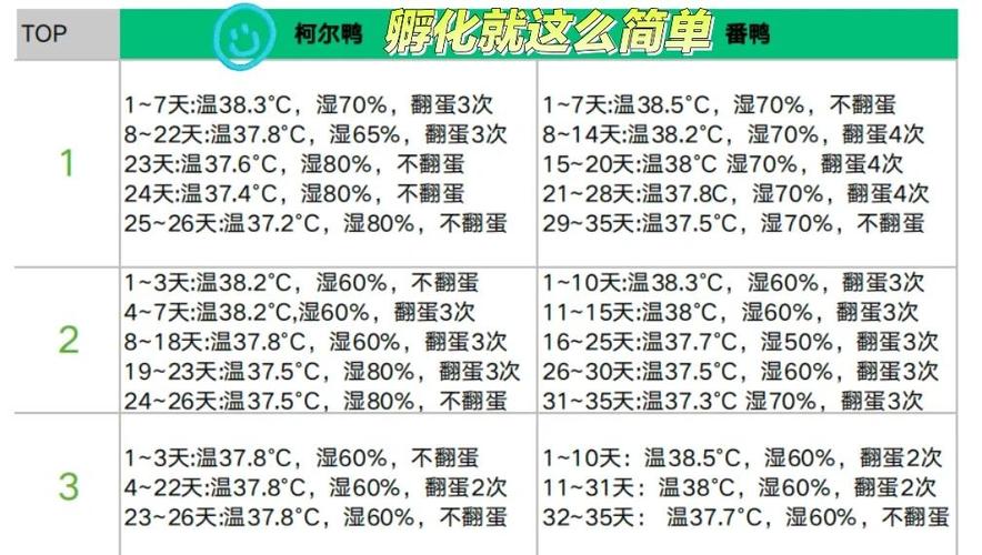 蛋鸡品种产蛋量差异有多大?-图3 蛋鸡品种产蛋量差异有多大?-图3