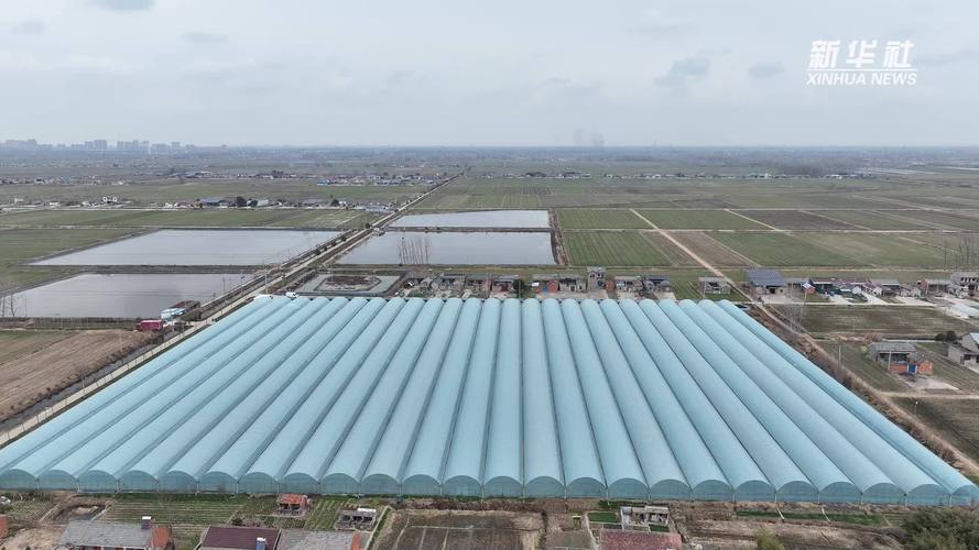 屋内龙虾立体养殖技术如何高效实现？-图2