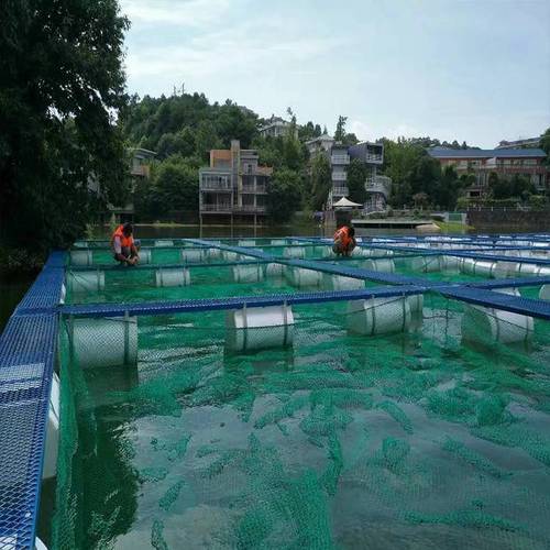 龙虾网箱养殖技术视频-图2