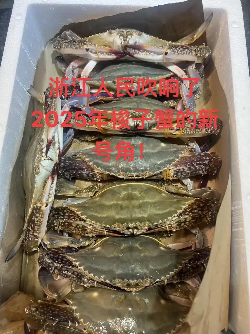 梭子蟹2025年价格会涨还是跌？-图3
