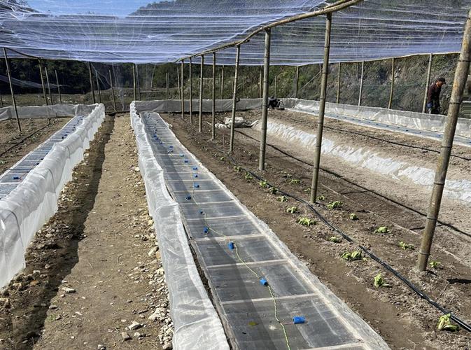 大棚青蛙养殖技术视频怎么学?-图1 大棚青蛙养殖技术视频怎么学?-图1