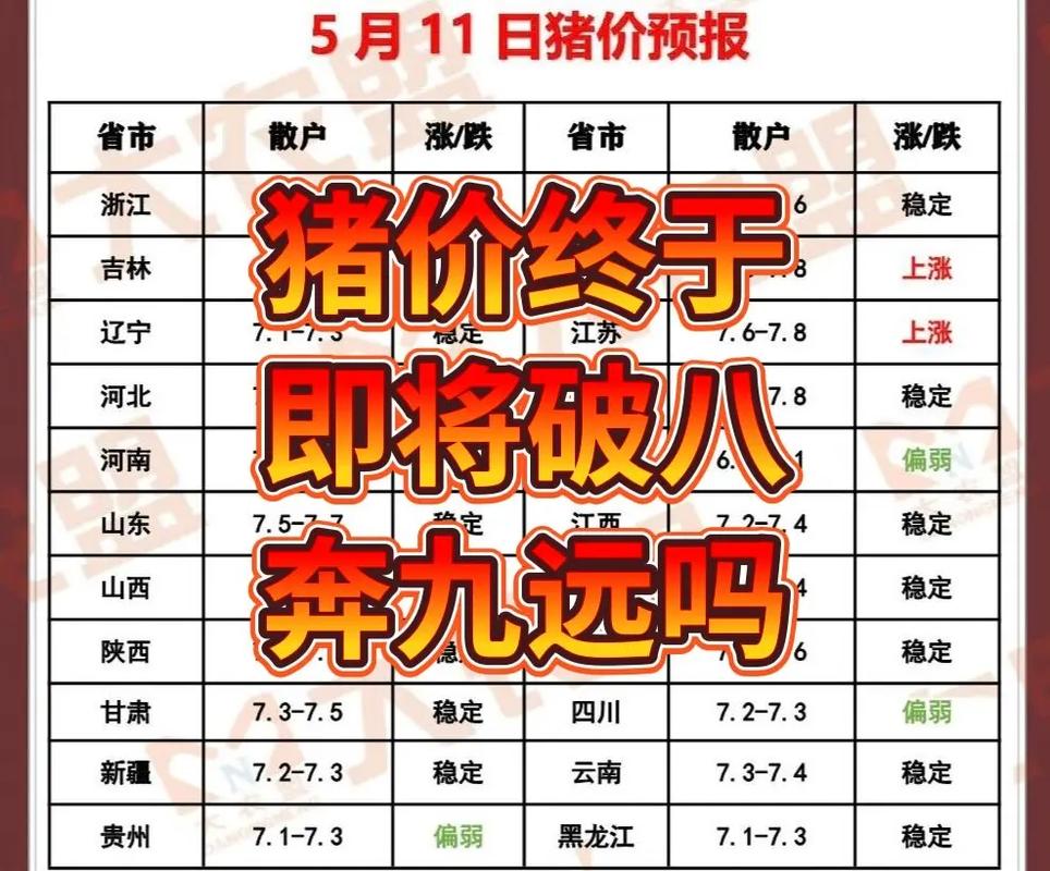 河南今日生猪价格多少钱一斤?-图1 河南今日生猪价格多少钱一斤?-图1