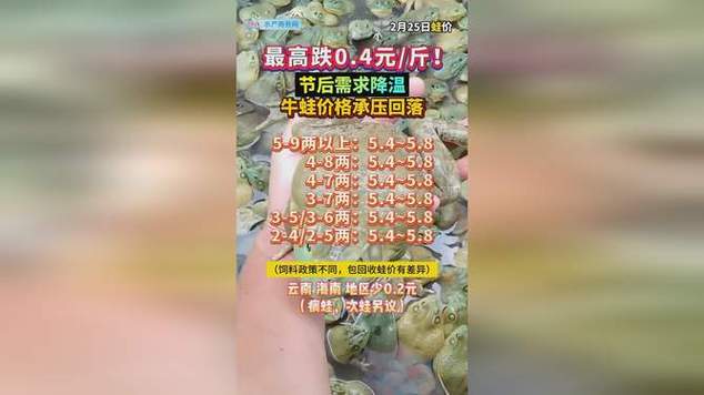 今天牛蛙价格最新行情-图1