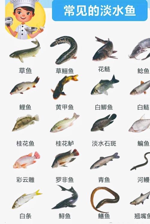 常见水产品品种有哪些？-图1