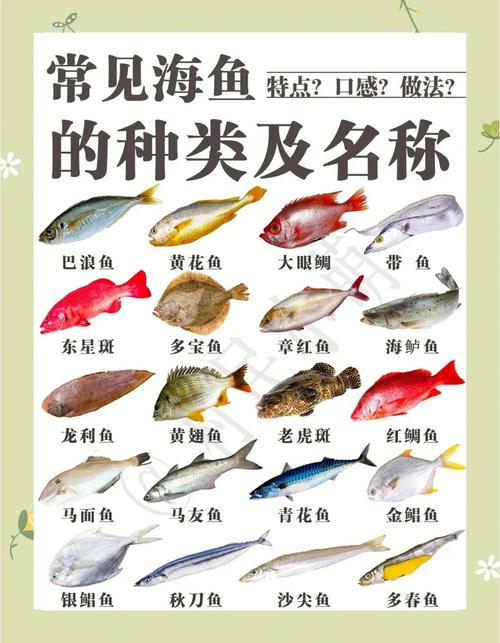 常见水产品品种有哪些？-图2