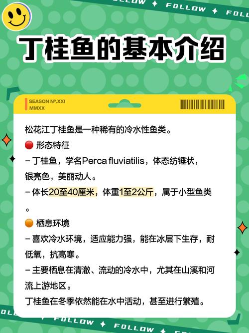 丁桂鱼高密度养殖技术关键点是什么？-图1