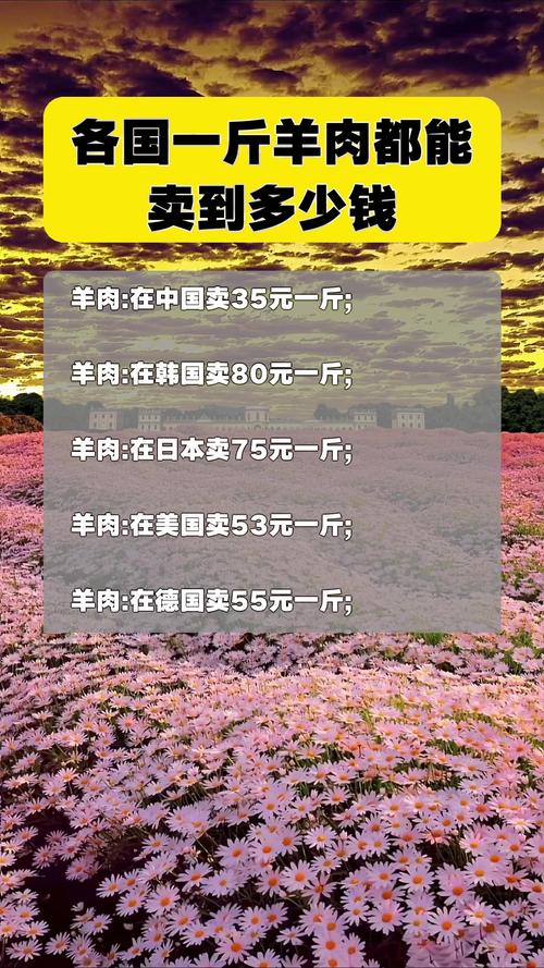 今日羊肉价格最新行情如何？-图1