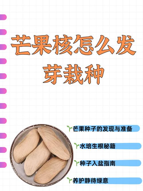 芒果栽培技术视频教程，怎么学更高效？-图1