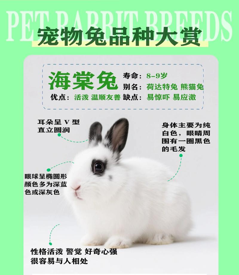 哪些肉兔品种适合散养?-图3 哪些肉兔品种适合散养?-图3