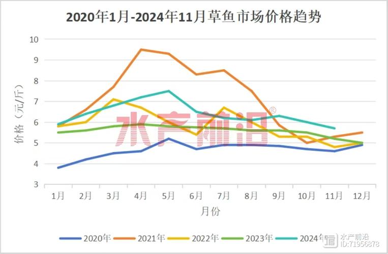 草鱼价格最新行情如何?后市会涨还是跌?-图1 草鱼价格最新行情如何?后市会涨还是跌?-图1
