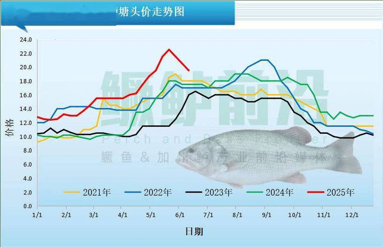 草鱼价格最新行情如何?后市会涨还是跌?-图2 草鱼价格最新行情如何?后市会涨还是跌?-图2