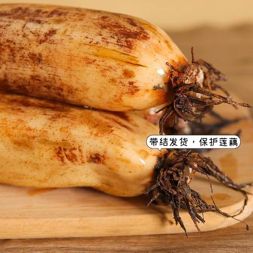 哪些是耦的高产品种?-图3 哪些是耦的高产品种?-图3