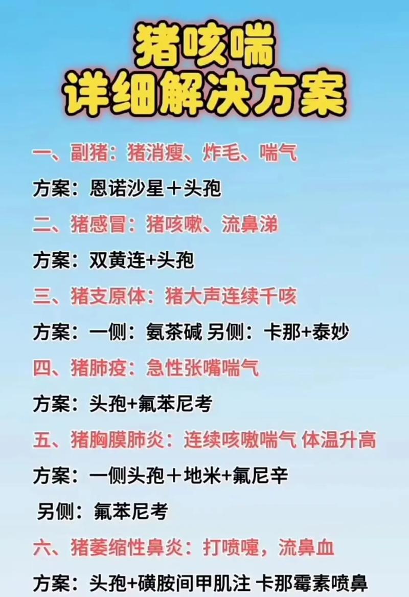 生猪养殖技术培训方案如何有效落地？-图1