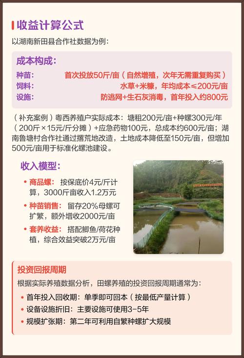 农广天地田螺养殖技术-图1