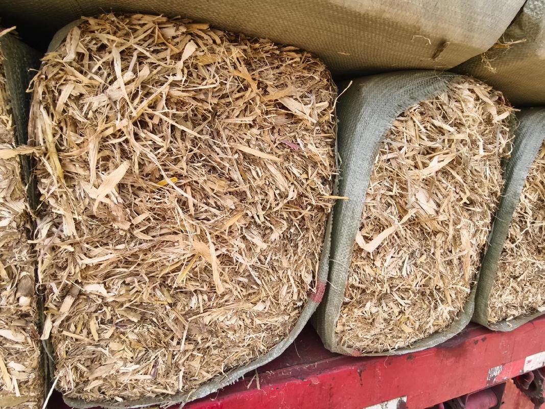 干玉米秸秆养牛羊技术如何高效利用？-图3