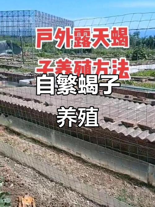 农广天地蝎子养殖技术怎么学？-图2