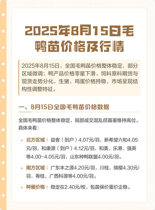 山东今日鸭苗价格是涨还是跌？-图1