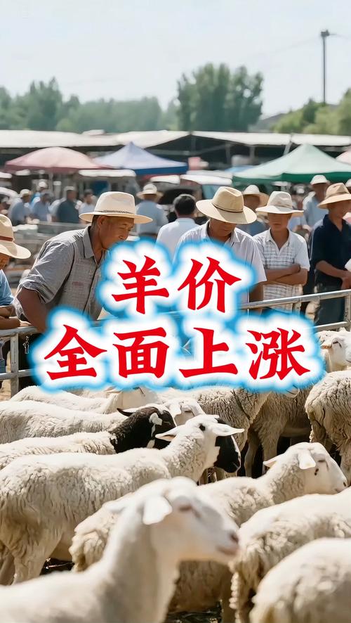 山西山羊价格2025-图1 山西山羊价格2025-图1