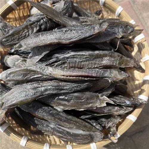 安徽泥鳅价格最新行情怎么样？-图1